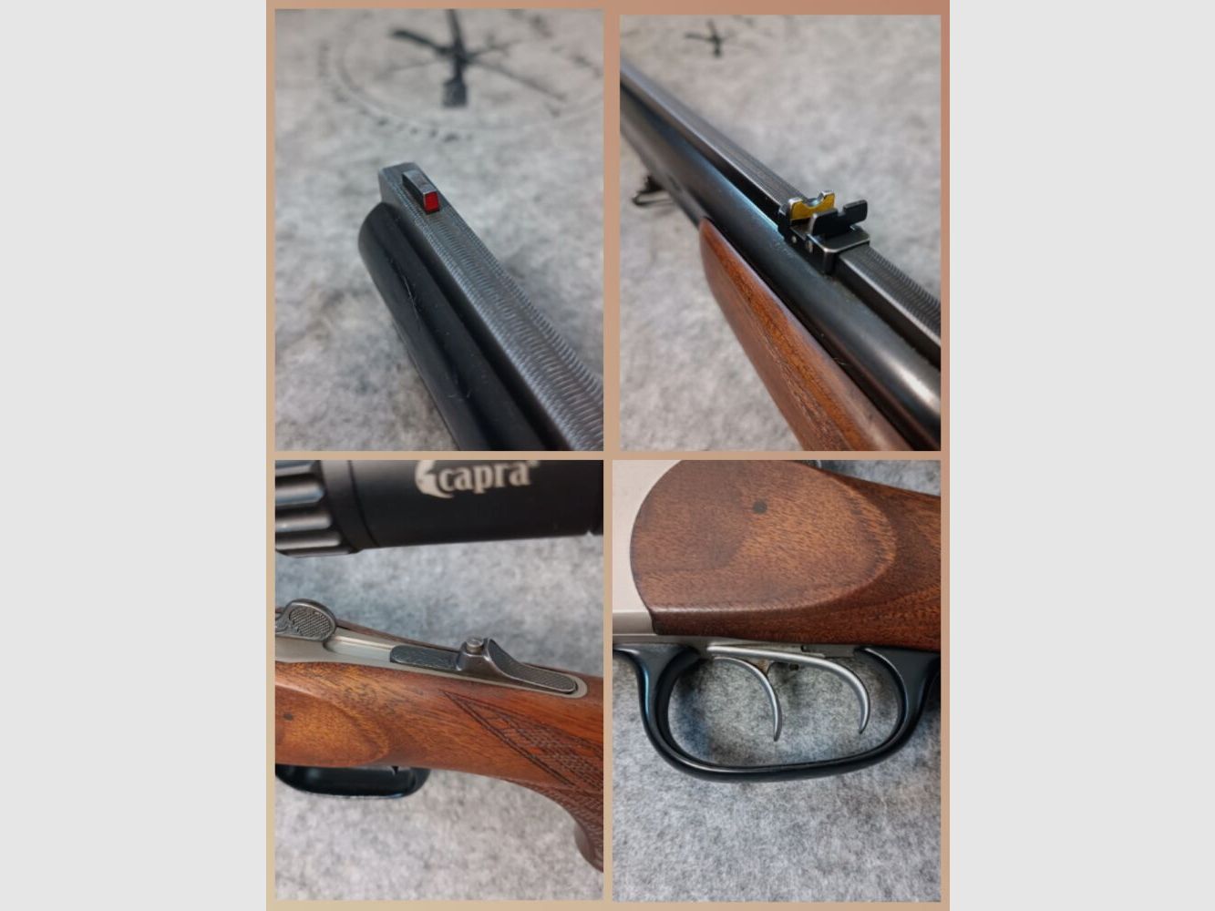Blaser ES 80 with scope Capra 2-12x50 illuminated dot