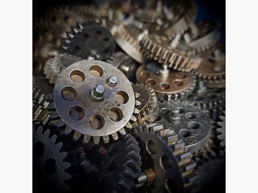 Sector gear without clip/delayer (A.N.-Limited)