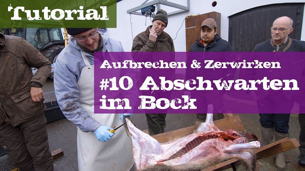 #10 Abschwarten im Bock - Schwarzwild - Lehrgang Aufbrechen & Zerwirken