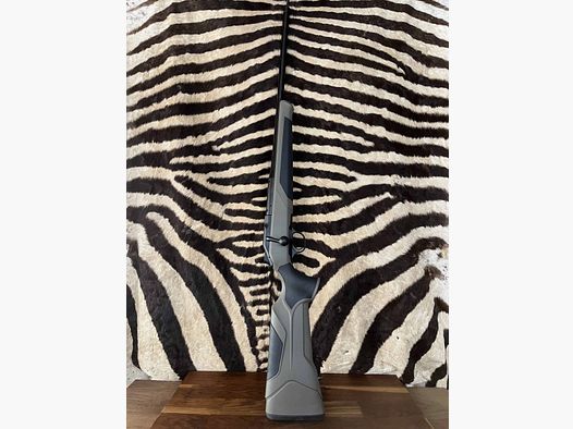Carabine Blaser R8 Profesional 2.0 cal.9.3×62 -ca.58cm fileté