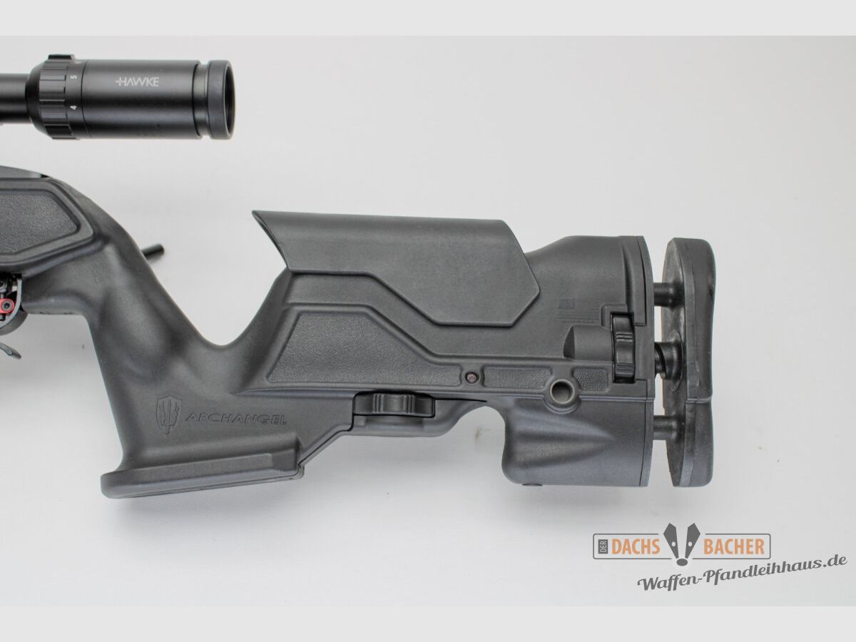 SL rifle Ruger 10/22 cal. .22lfB with match barrel and Archangel stock ZF Hawke