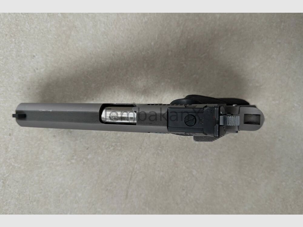 Partido de Trofeo Springfield .45Auto