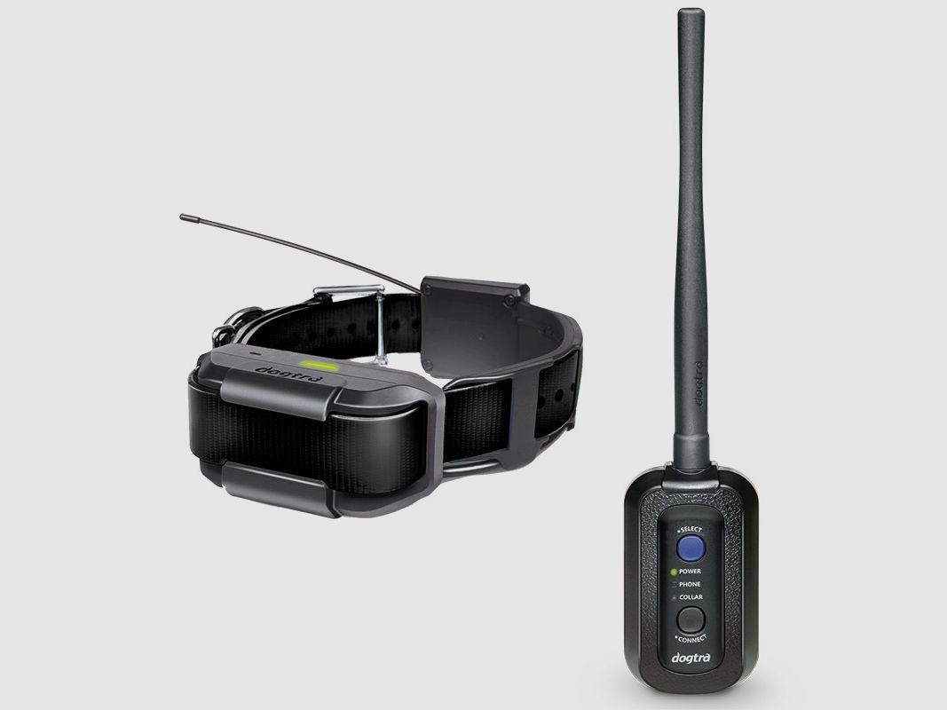 DOGTRA Pathfinder