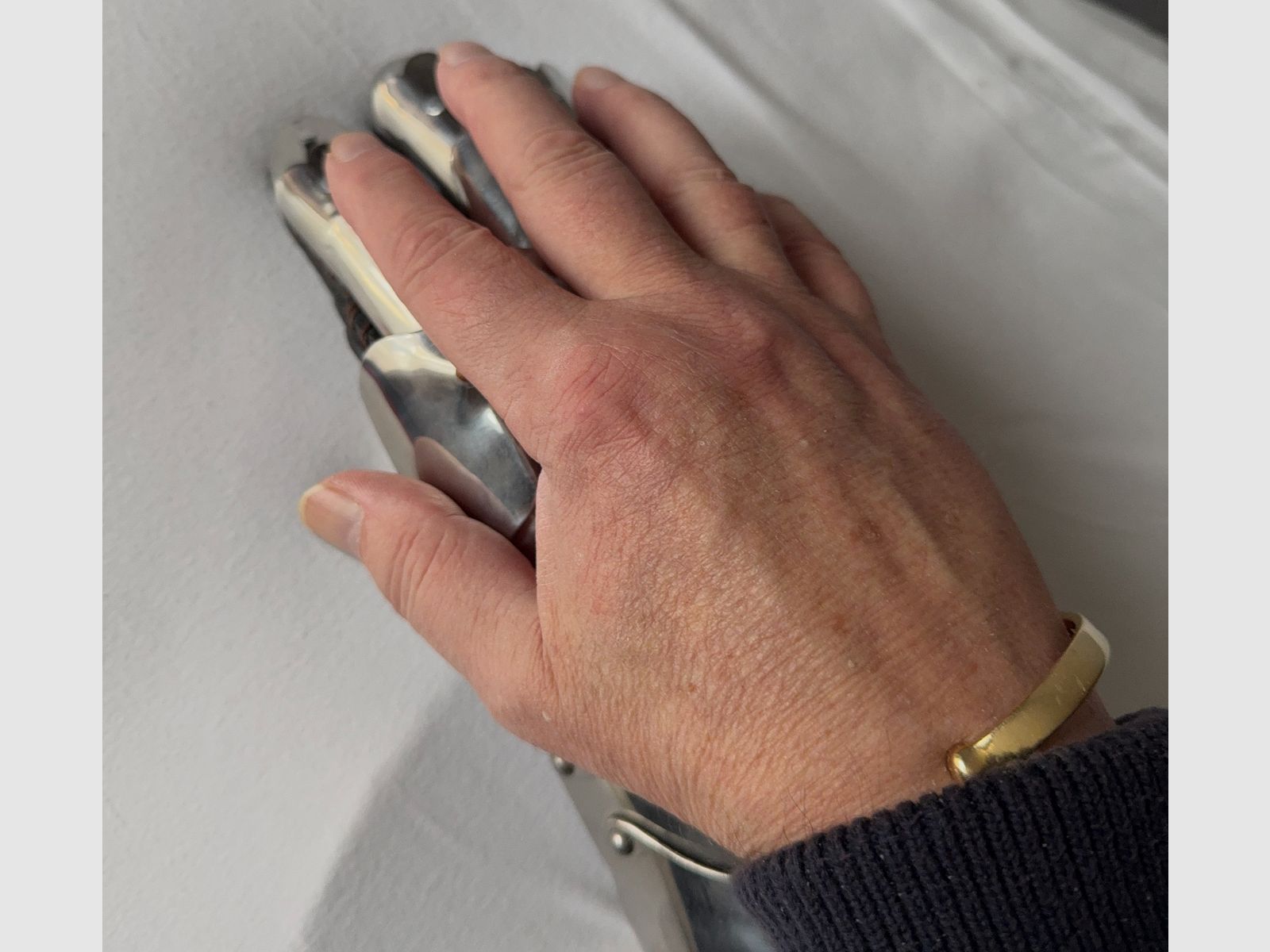 1A knight's gloves for the ritual knighting.