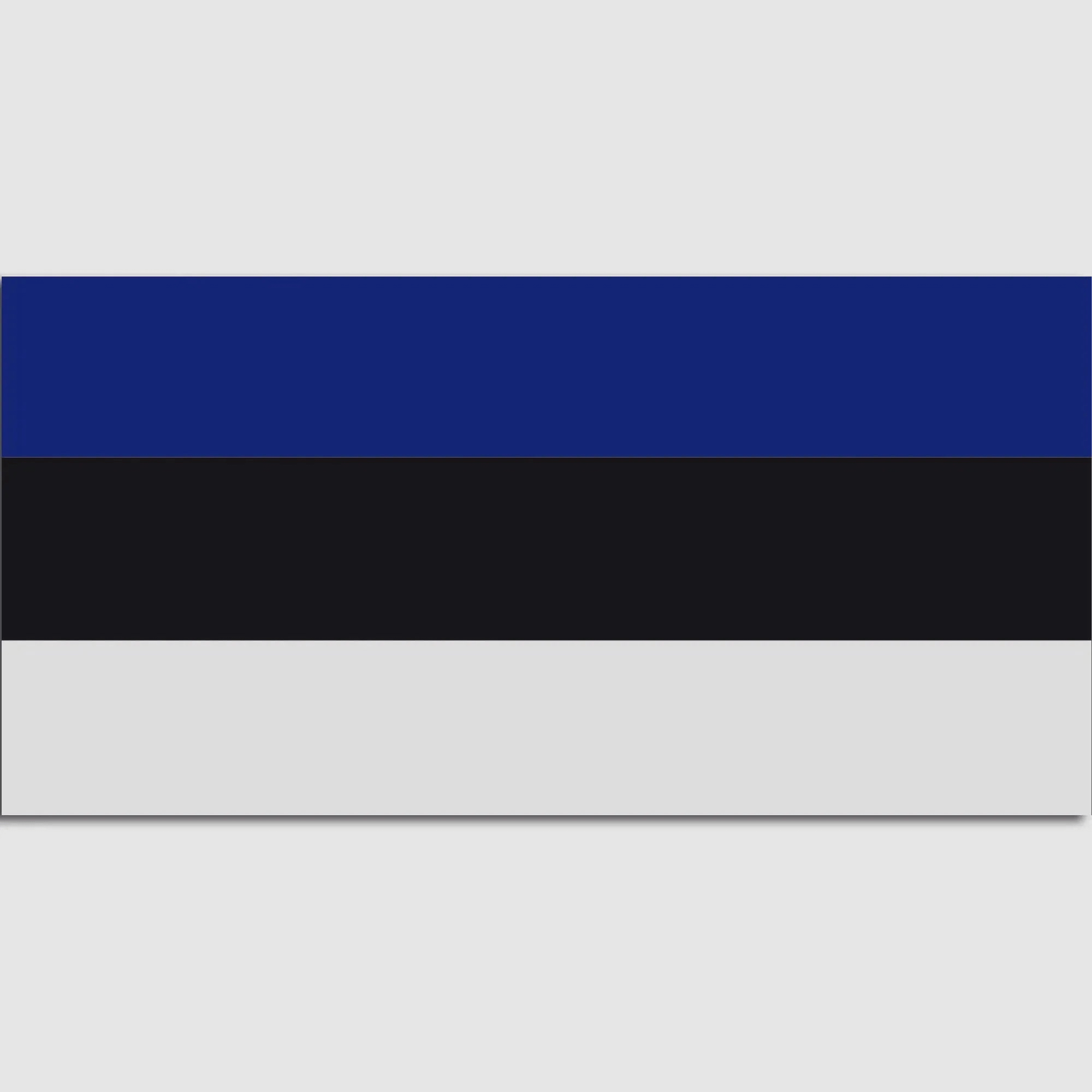 Unbekannt Flagge Estland