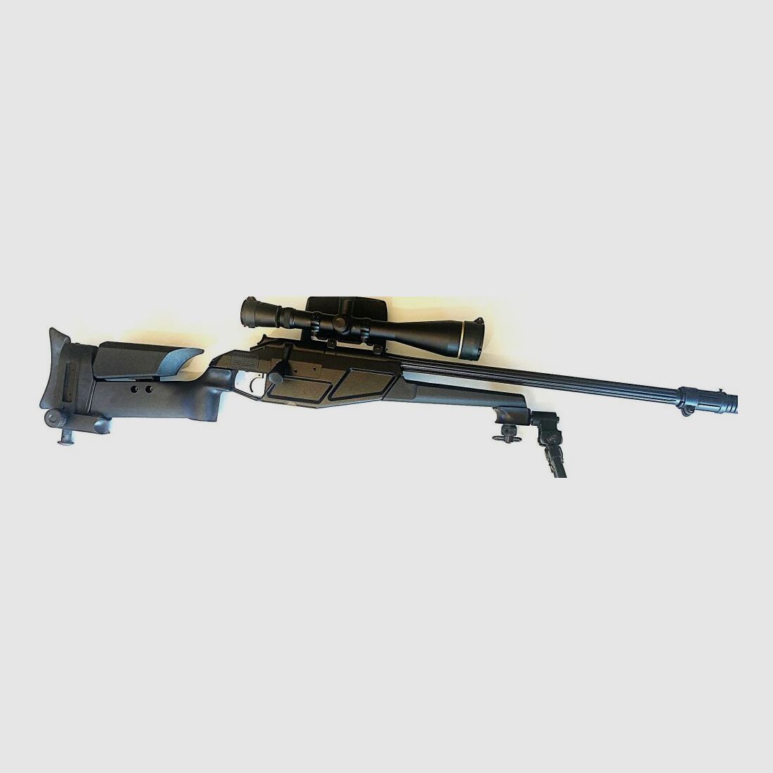 Blaser R93 Tactical (CISM)