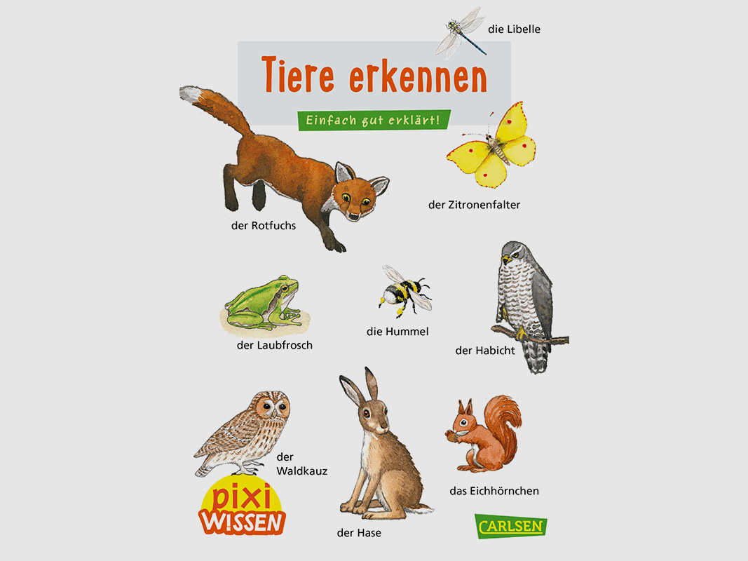 Libro per bambini "Pixi Conoscenza 30: Riconoscere gli animali"