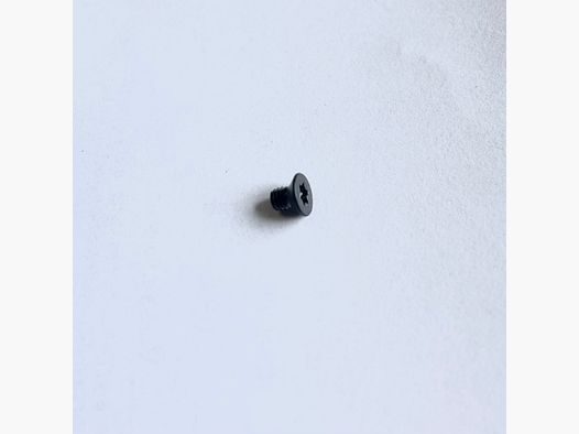 Walther 2846829 Vite a testa cilindrica M3X4 TX ISO 14581 A2 Nera