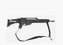Heckler und Koch HK243 S TAR, schwarz, .223 Remington - Sofort ab Lager verfügbar!