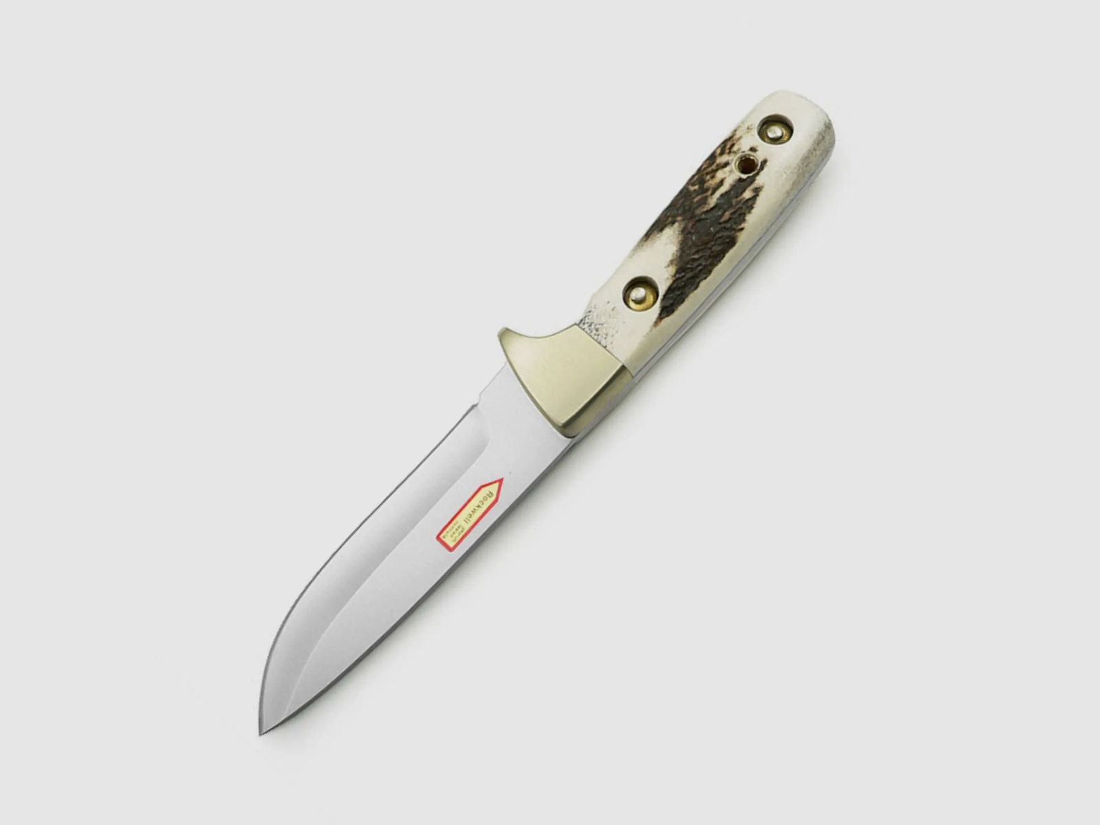 PUMA IP daino, cervo