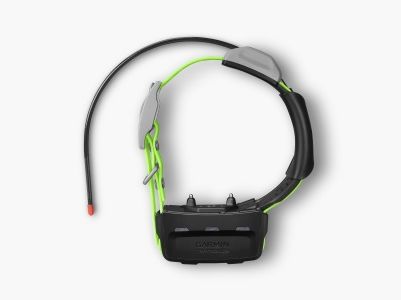 Garmin Additional Collar KT15 for Dog Tracking and Training
