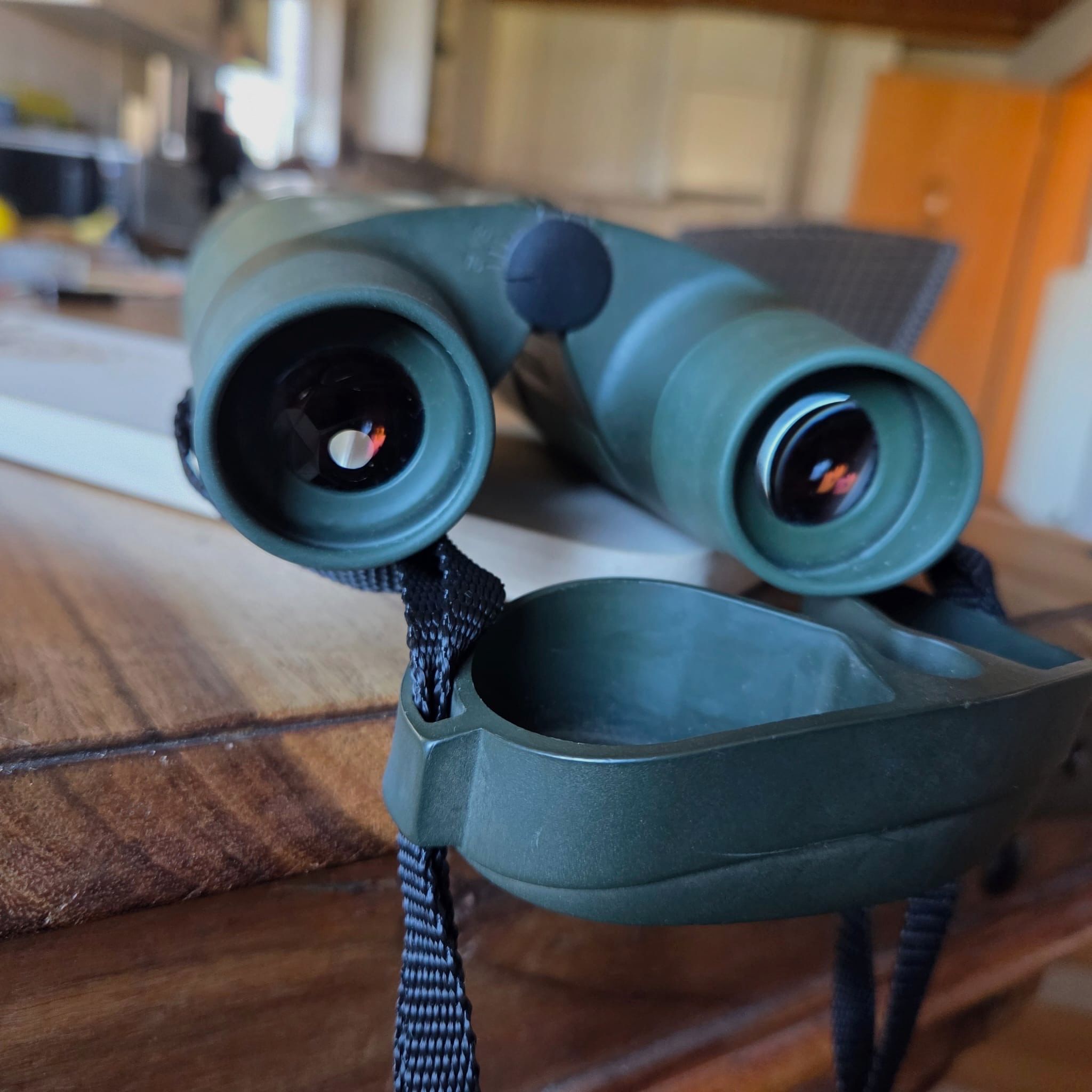 Zeiss Fernglas 10x56 BT P