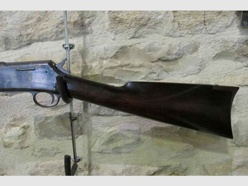 COLT 1883 (venduta), immagine 2 di 6