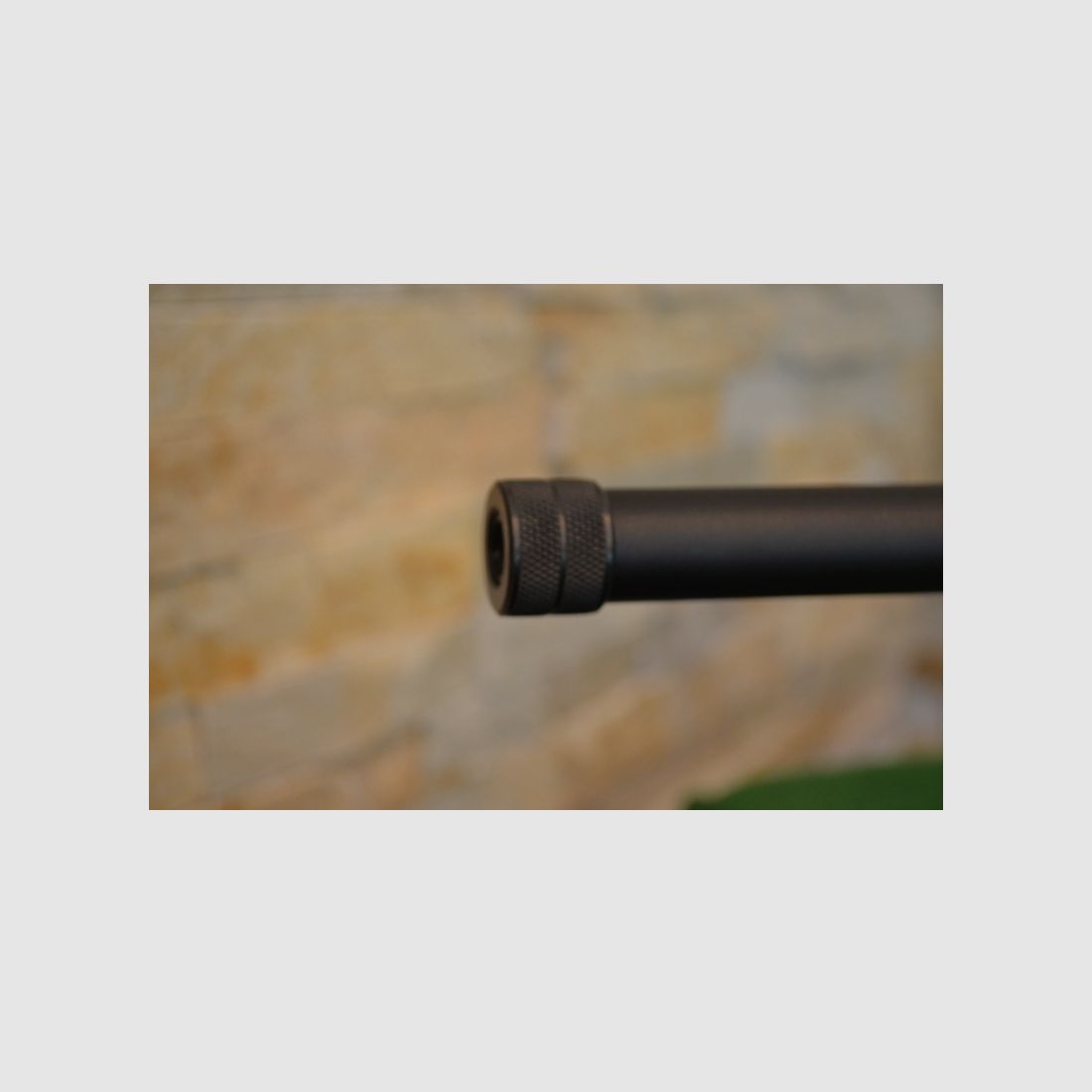Savage Arms Model 10 FP-SR