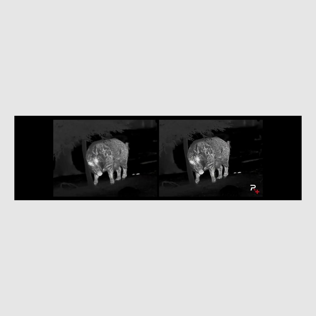 Lunette thermique Nocpix ACE AL35, image 4 sur 6