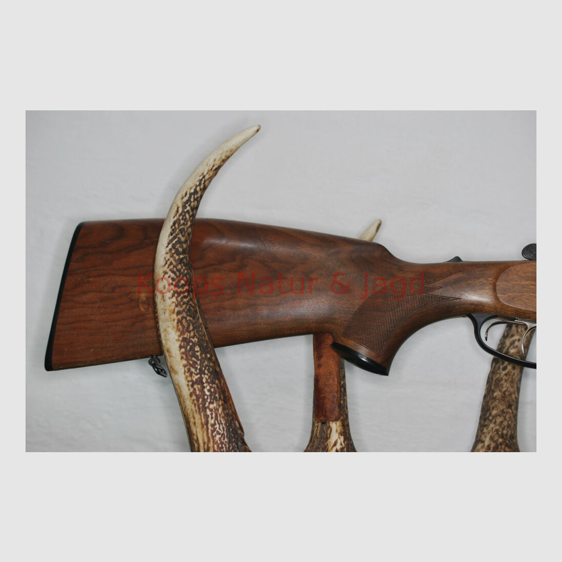 Blaser BBF 95