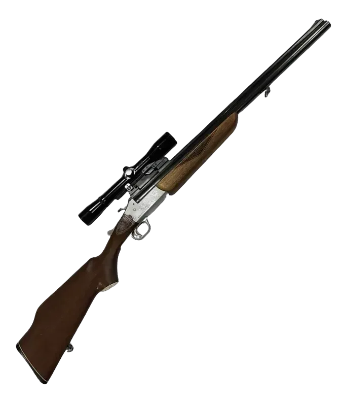 Savage Arms Bockbüchsflinte Kal. .22Mag 20/76 mit Wetzlar 4×36, Bild 1 von 3