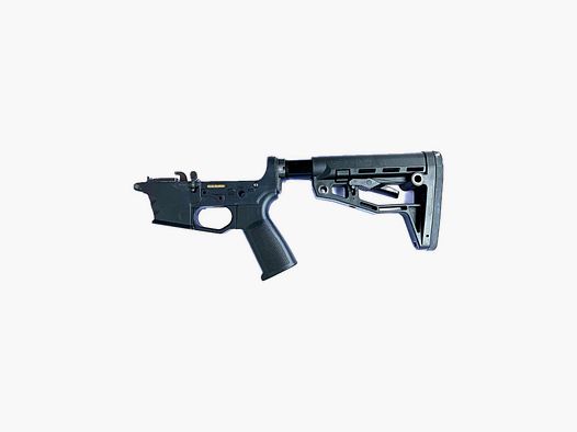 AC-Unity AR9 Lower – partiellement assemblé (Surplus)
