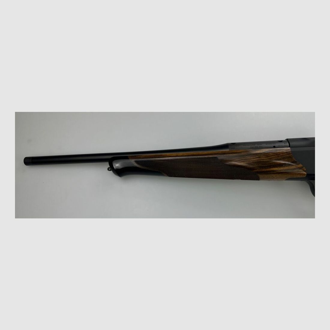 Blaser R8 Success