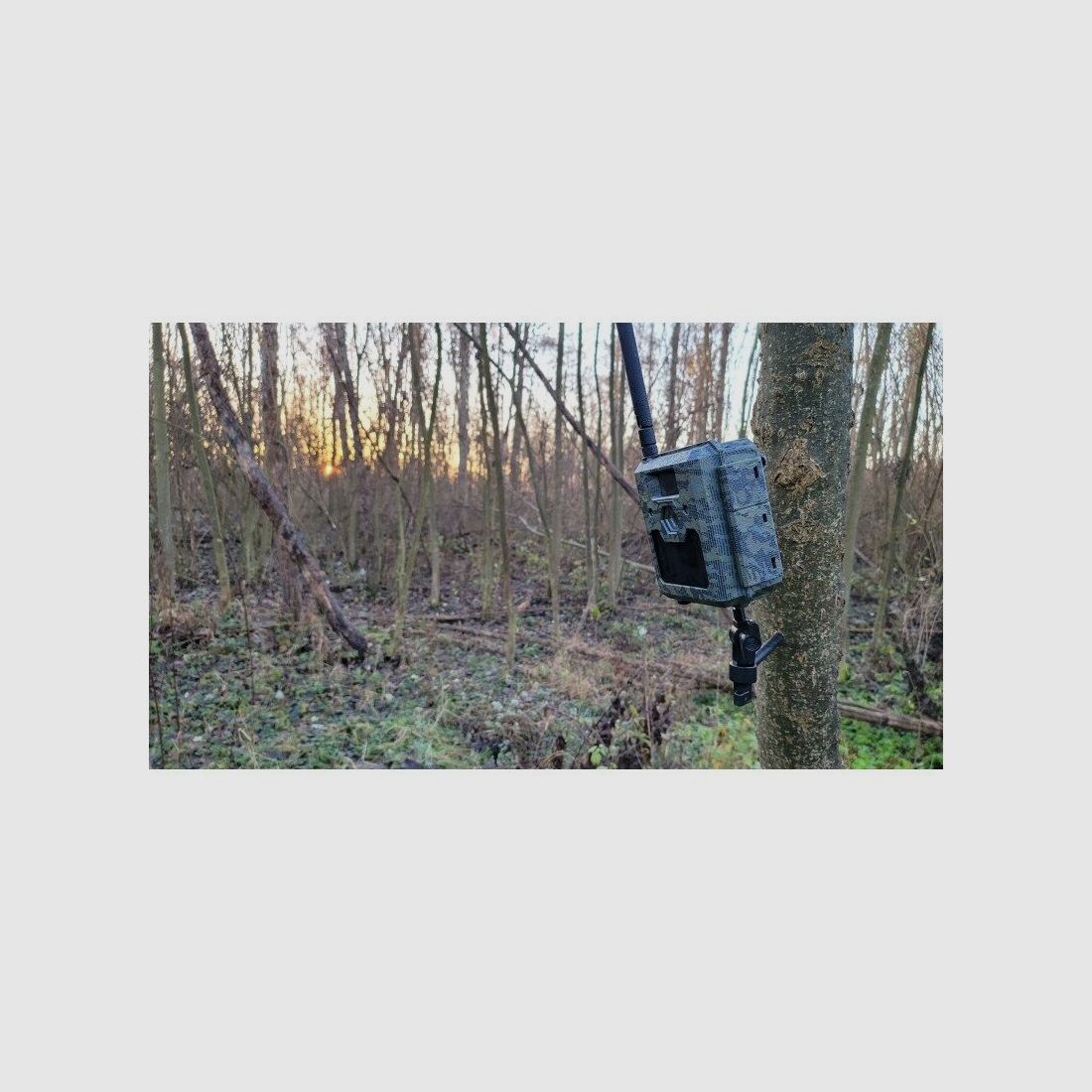 ICUserver CLOM Cam5 Wildkamera inkl. 2000 Gratis Coins