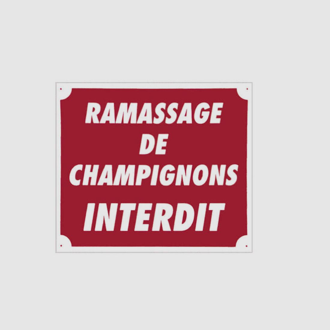 Schild »Pilzesammeln verboten« 30 x 25 cm Aluminium