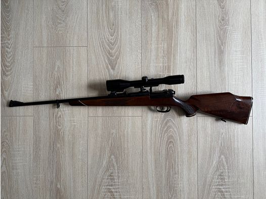 Mauser 66
