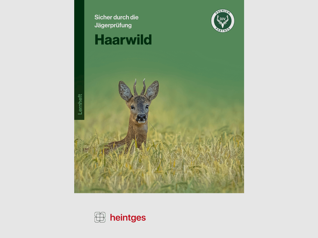 Arbeitsblätter Jägerprüfung "Haarwild"