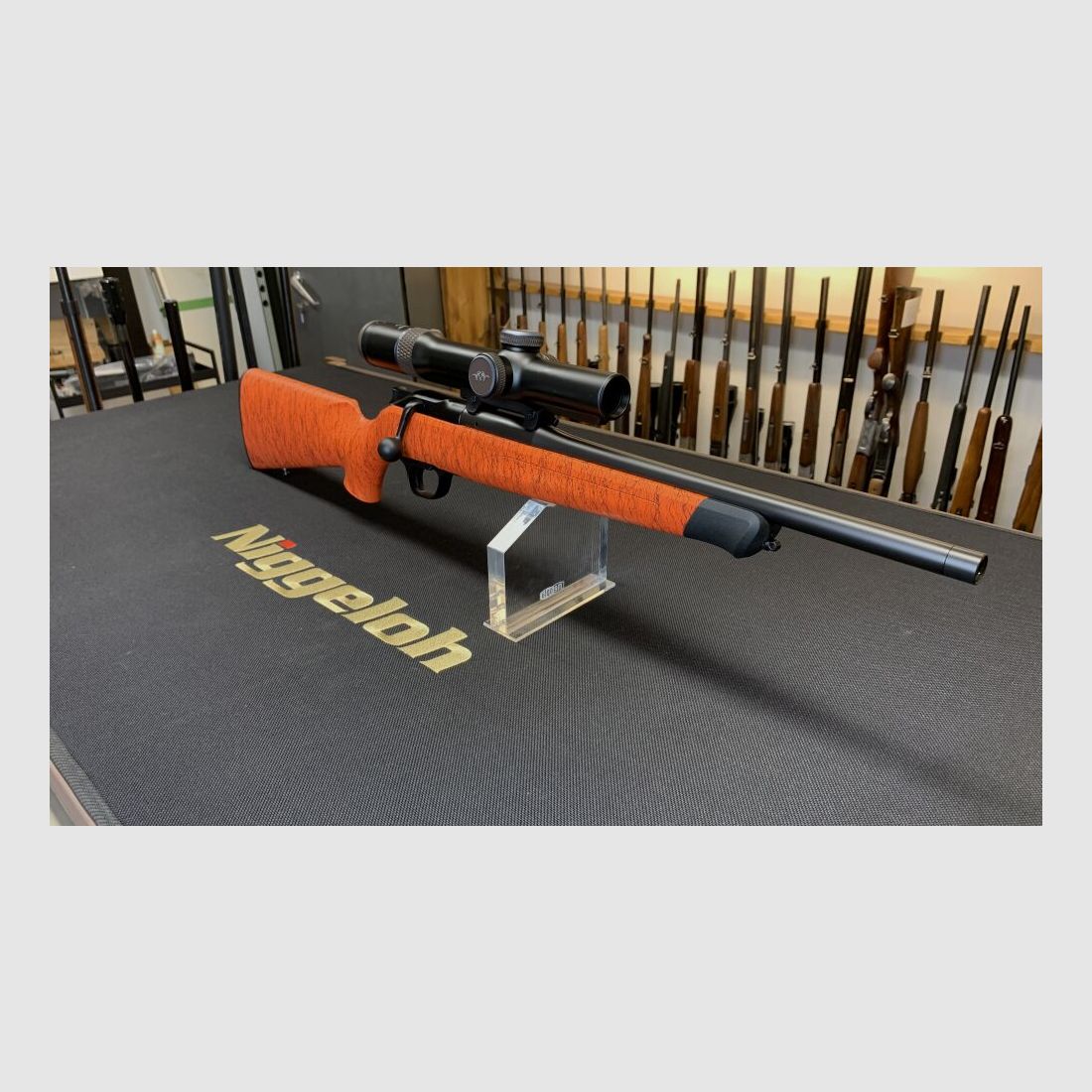 Blaser Professionale Caccia al Cinghiale