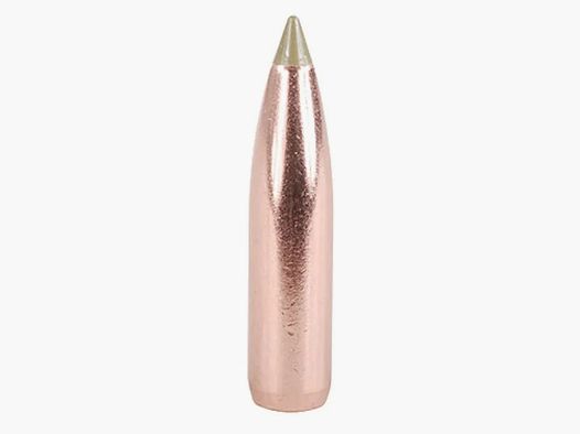 Proiettile Nosler E-Tip .25/.257 100GR Spitzer 50 pezzi