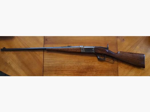 Savage 1899