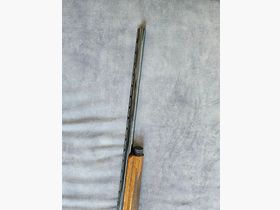 Browning Auto 5