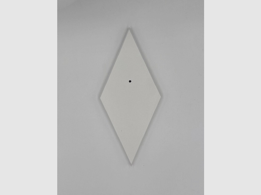 Horn board - trophy board roe deer Waldemar - color black, gray or white