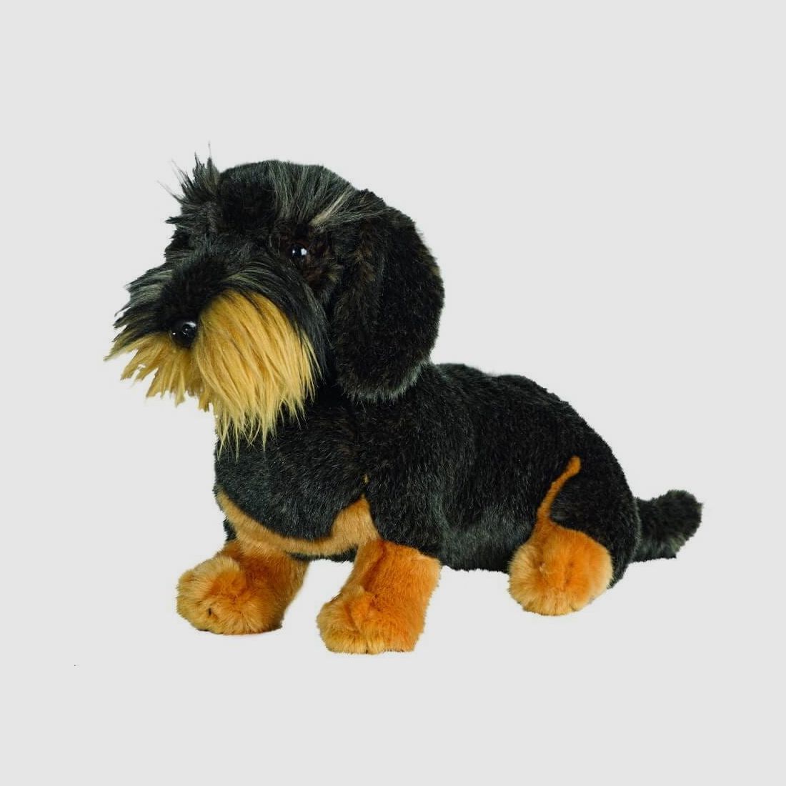 AKAH Rough-haired Dachshund