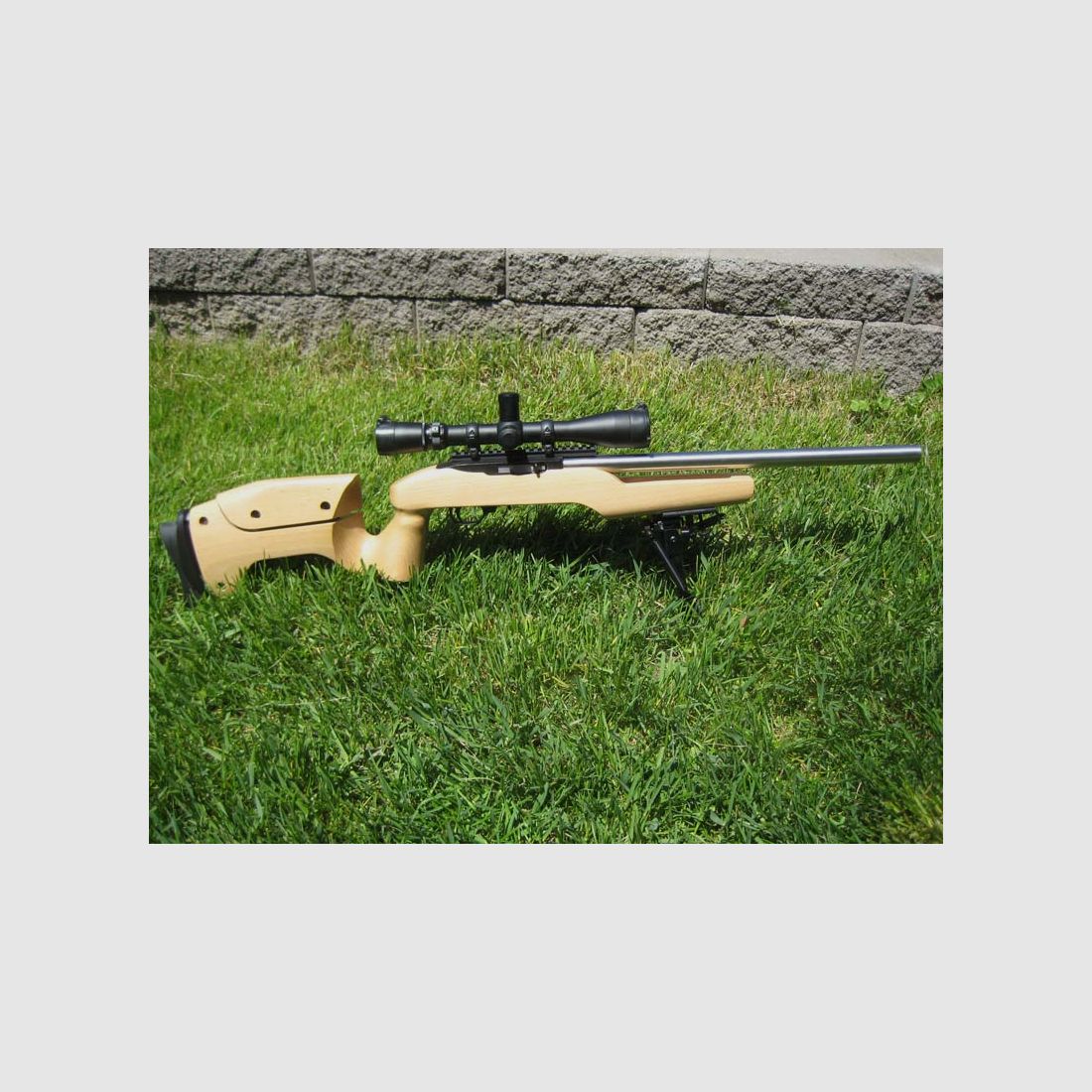 extra langer Picatinny-Schiene Ruger 10/22, Bild 3 von 3