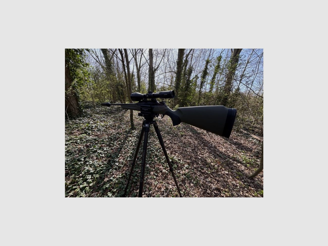 Treppiede da tiro Vanguard Endeavor 303 AGM, immagine 5 di 6