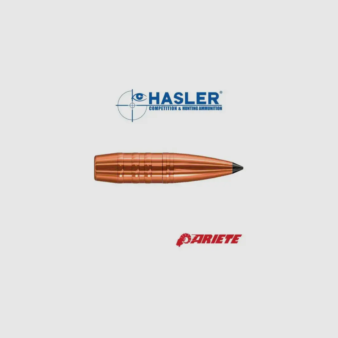 Monolitishe Geschosse Hasler Ariete 8,5 mm (.338), 226grs