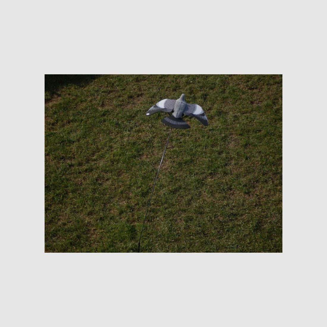 Bouncer pour pigeons/corbeaux en vol, 2 mètres, image 4 sur 4