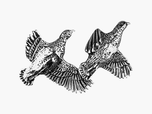Pin Jack Pyke – Volo di pernici