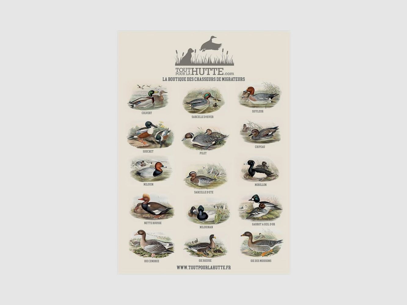 Poster Waterfowl Toutpourlahutte