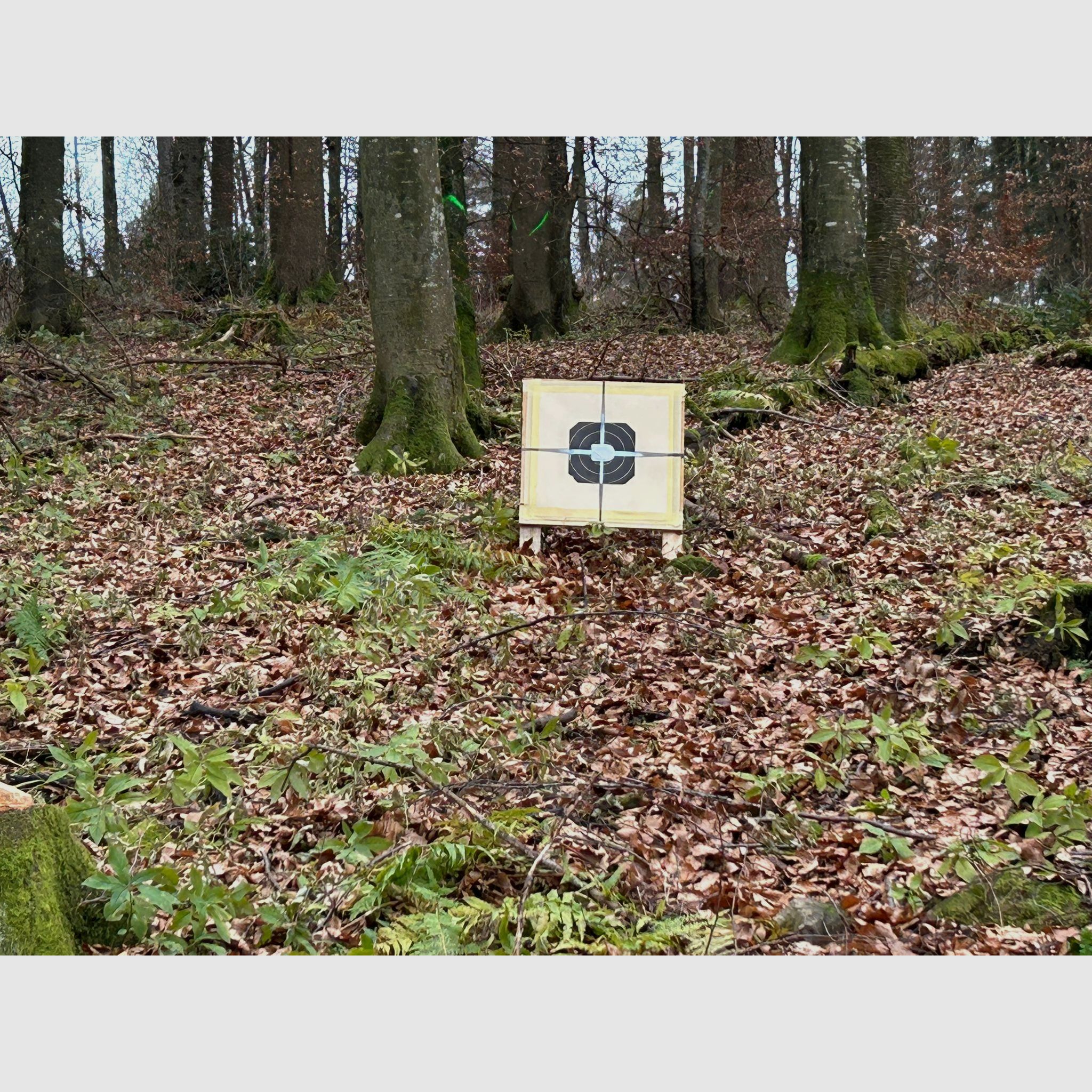 Blaser B95 avec canon interchangeable 5.6 ×52 et Kahles - comme neuf -