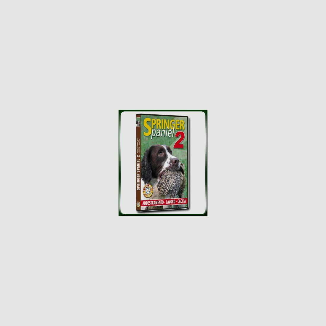SPRINGER Spaniel 2 TRAINING - ARBEIT - JAGD