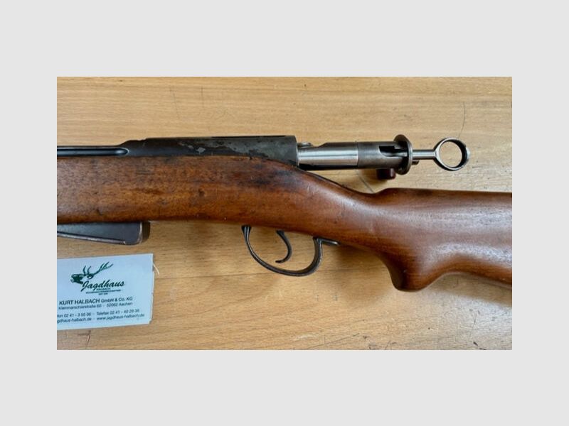 Commissione Rep.B. Svizzera G11 Ordinanza