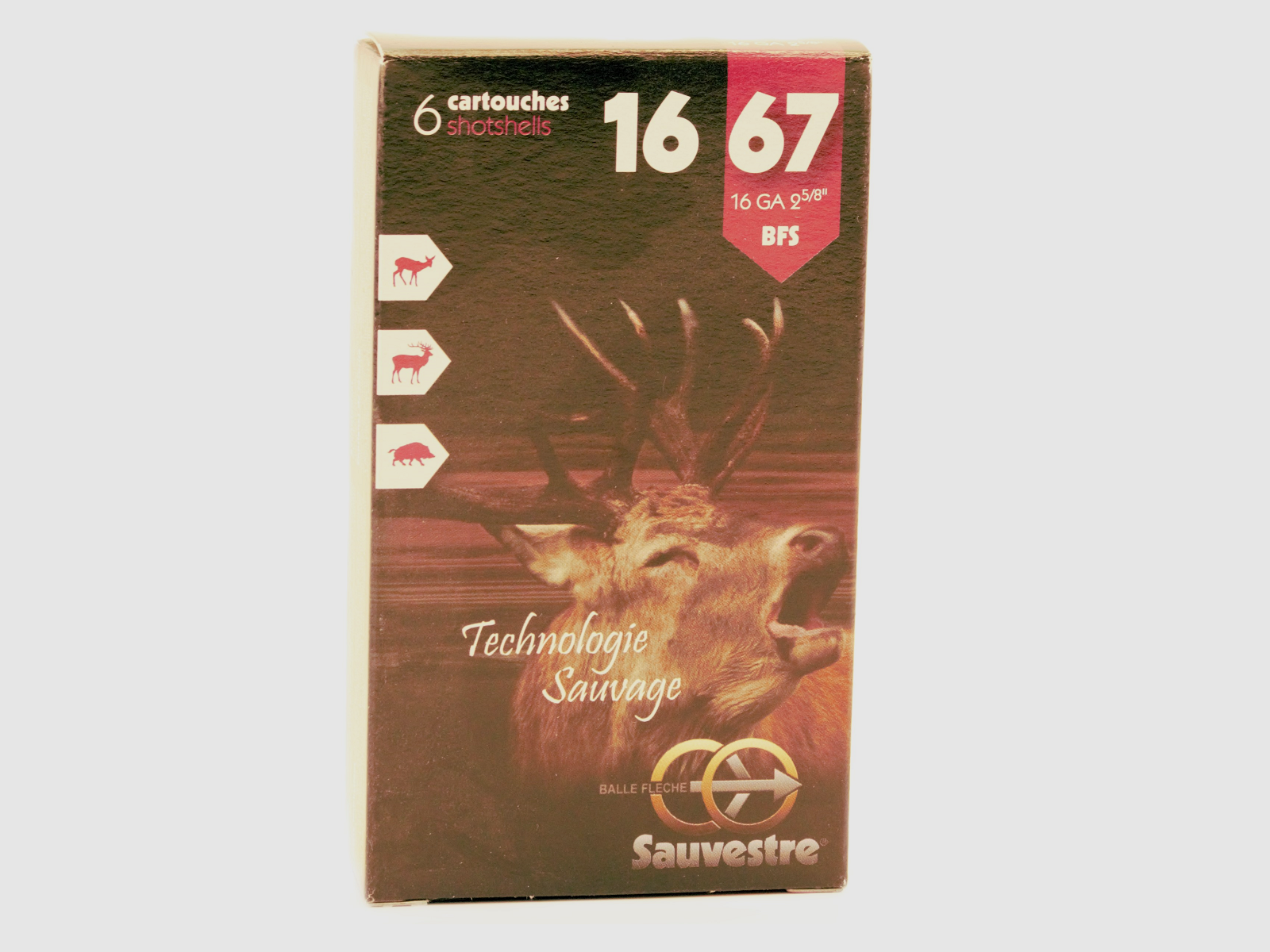 SAUVESTRE 16/67