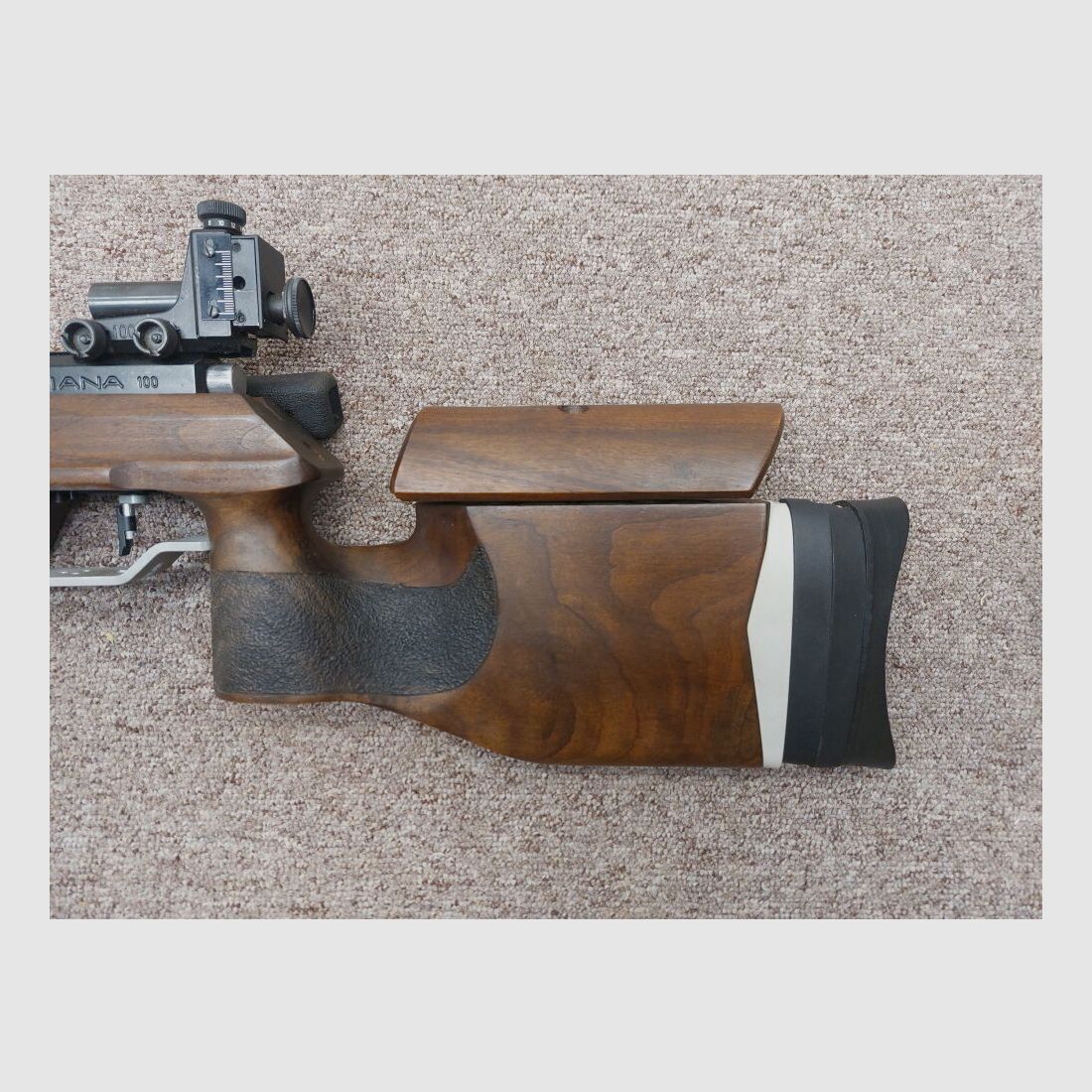 Diana 100