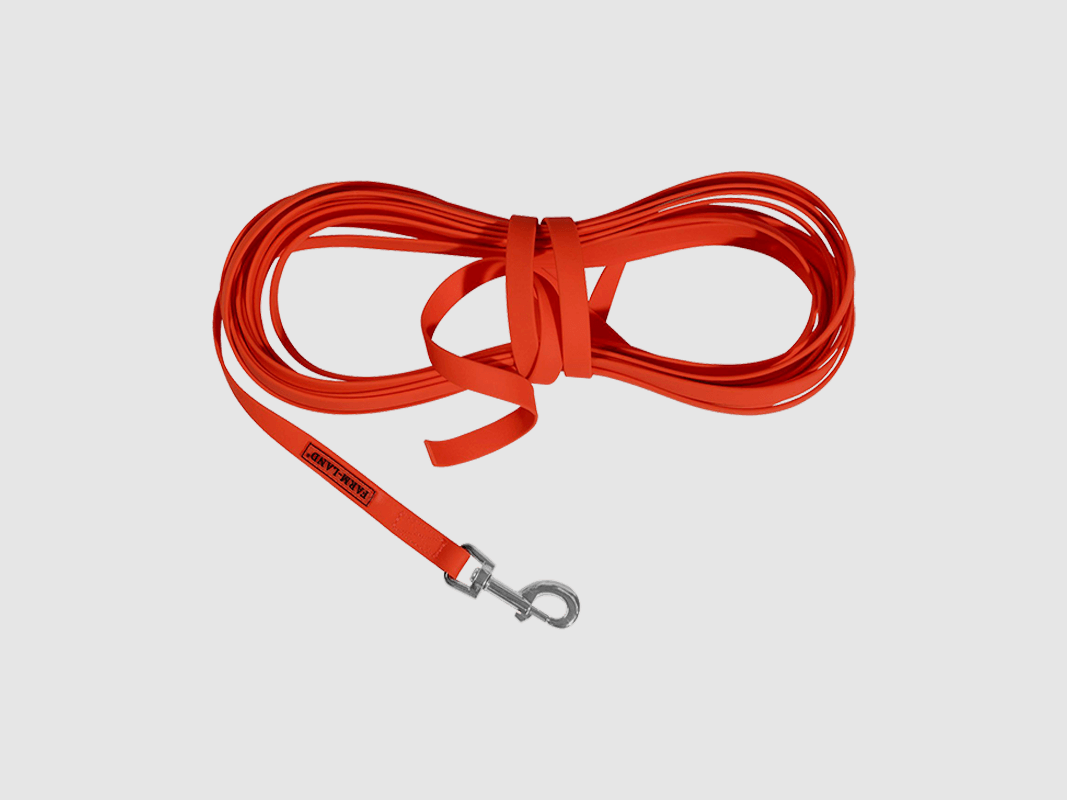 Correa de seguimiento para perros profesional (naranja)