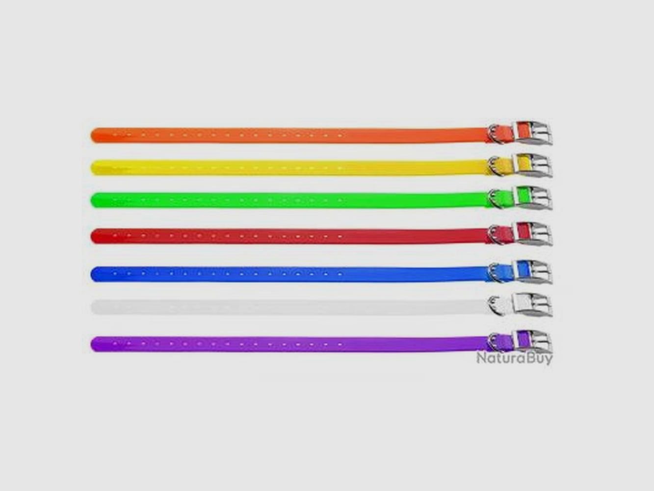 Halsband für Hunde Country 2,5 cm - Widerstandsfähiges Polyurethan - Komfort und Langlebigkeit Garantiert, Bild 2 von 5
