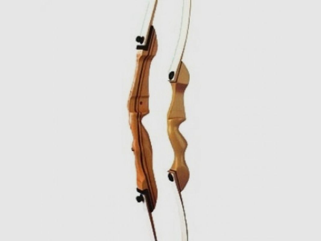 ADINOLFI ARCO SCUOLA 68/34 SINISTRO