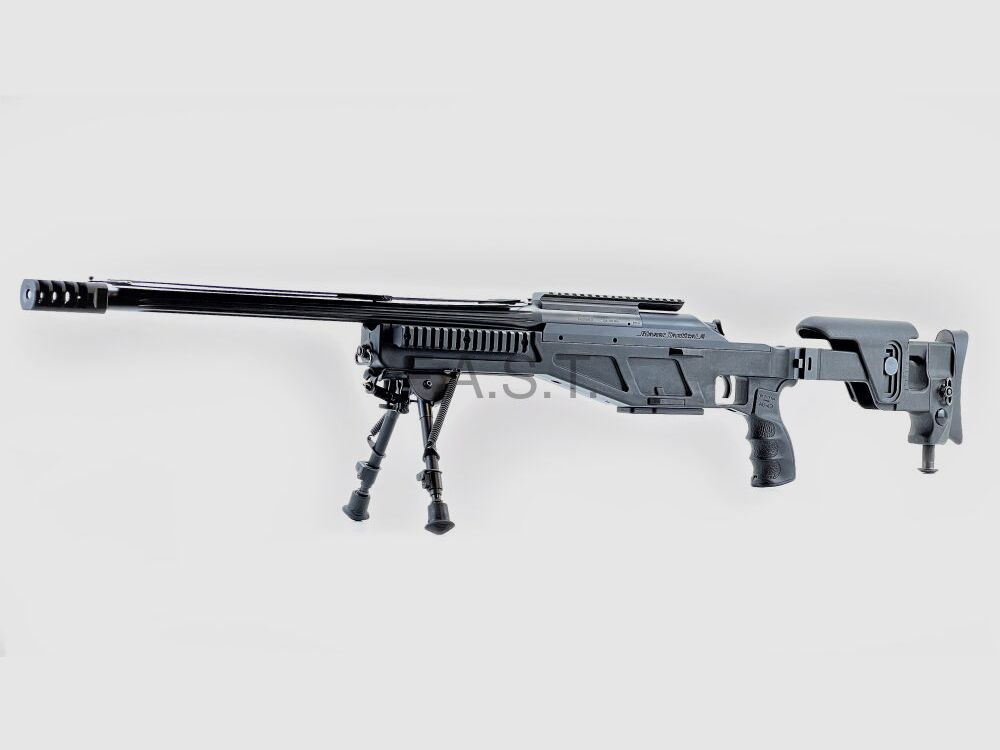 Blaser	 Blaser R93 Tactical 2
