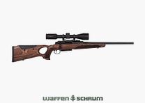 Mauser M25 Max complete offer / Mauser 25 Max set including optics; with removable mount; optional silencer