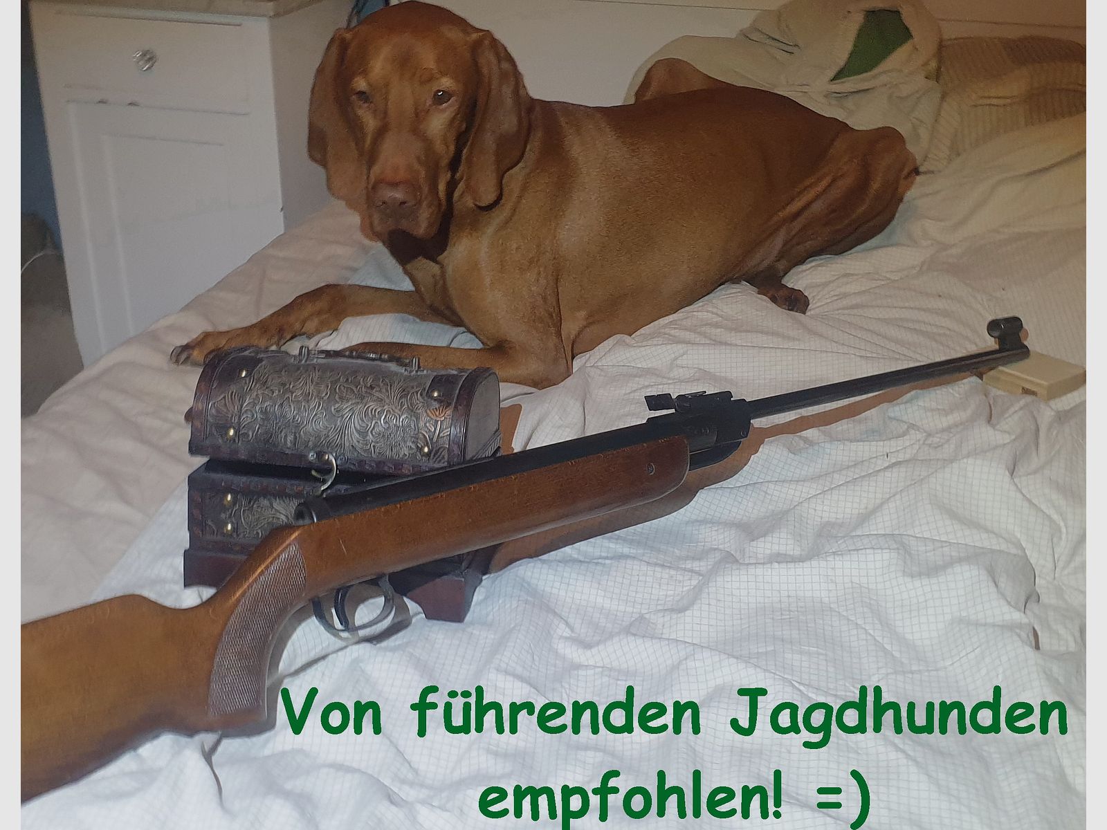 Diana Mod. 35 – Year of manufacture 1974 – Top condition – Collector's item